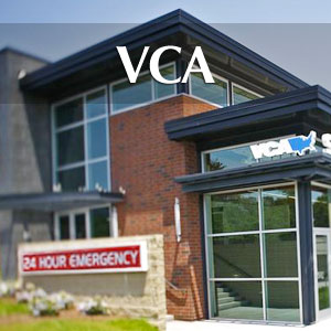 Hospital Old Canal Vca Why VCA West Coast Is One Of The Best-equipped Hospitals In The Nation  Veterinary Practice News